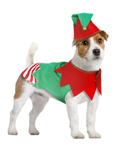 Déguisements pour chiens et chats