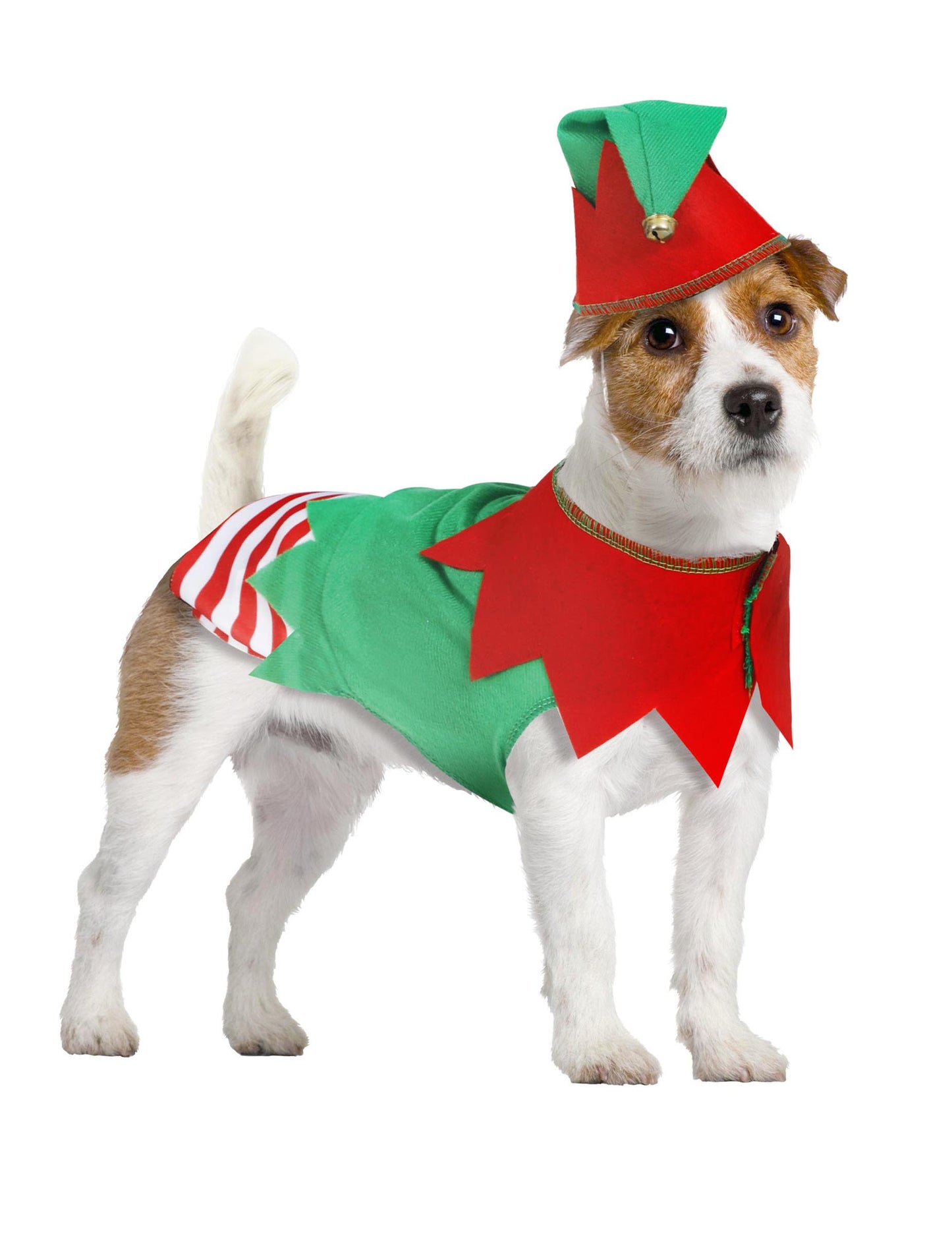 Costum de elf de Crăciun pentru câini