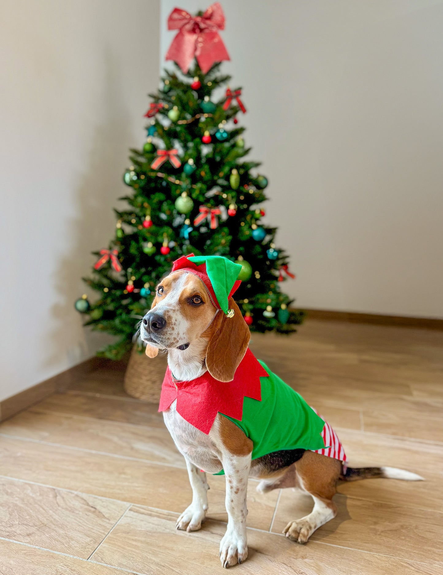 Costum de elf de Crăciun pentru câini