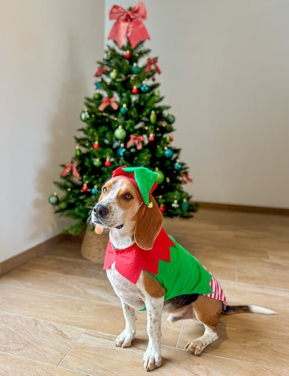 Costum de elf de Crăciun pentru câini