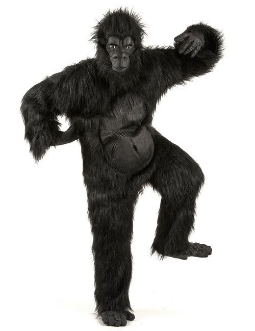 Costume mascote