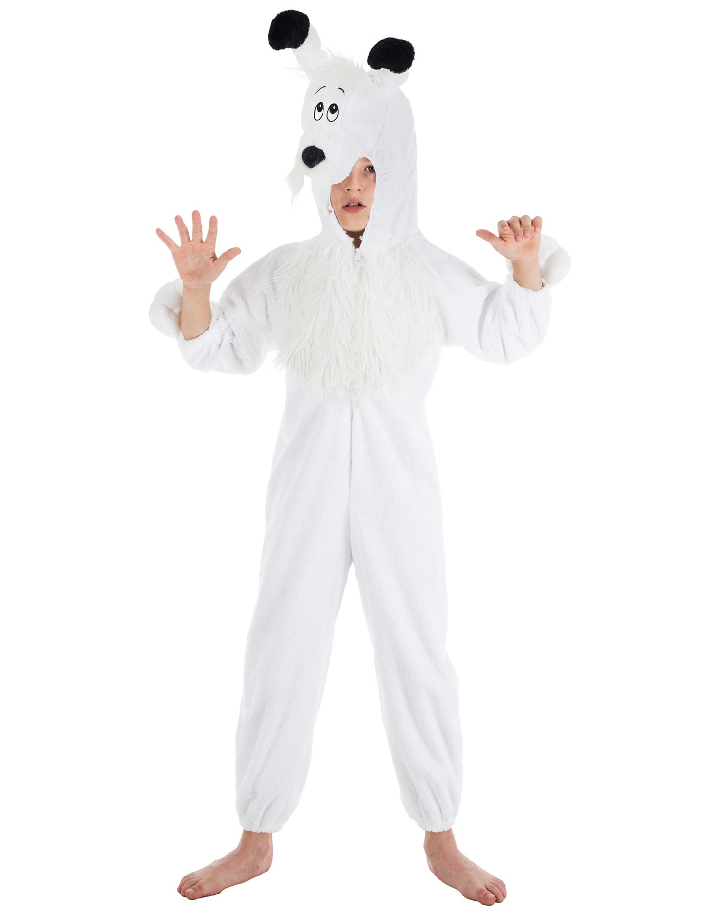 Idefix asterix și deghizarea copiilor