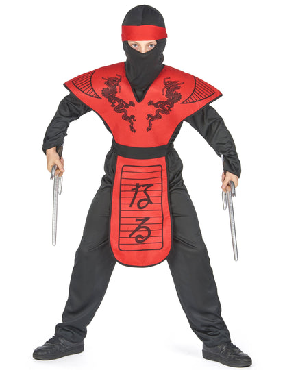 Costum de dragon ninja dragon