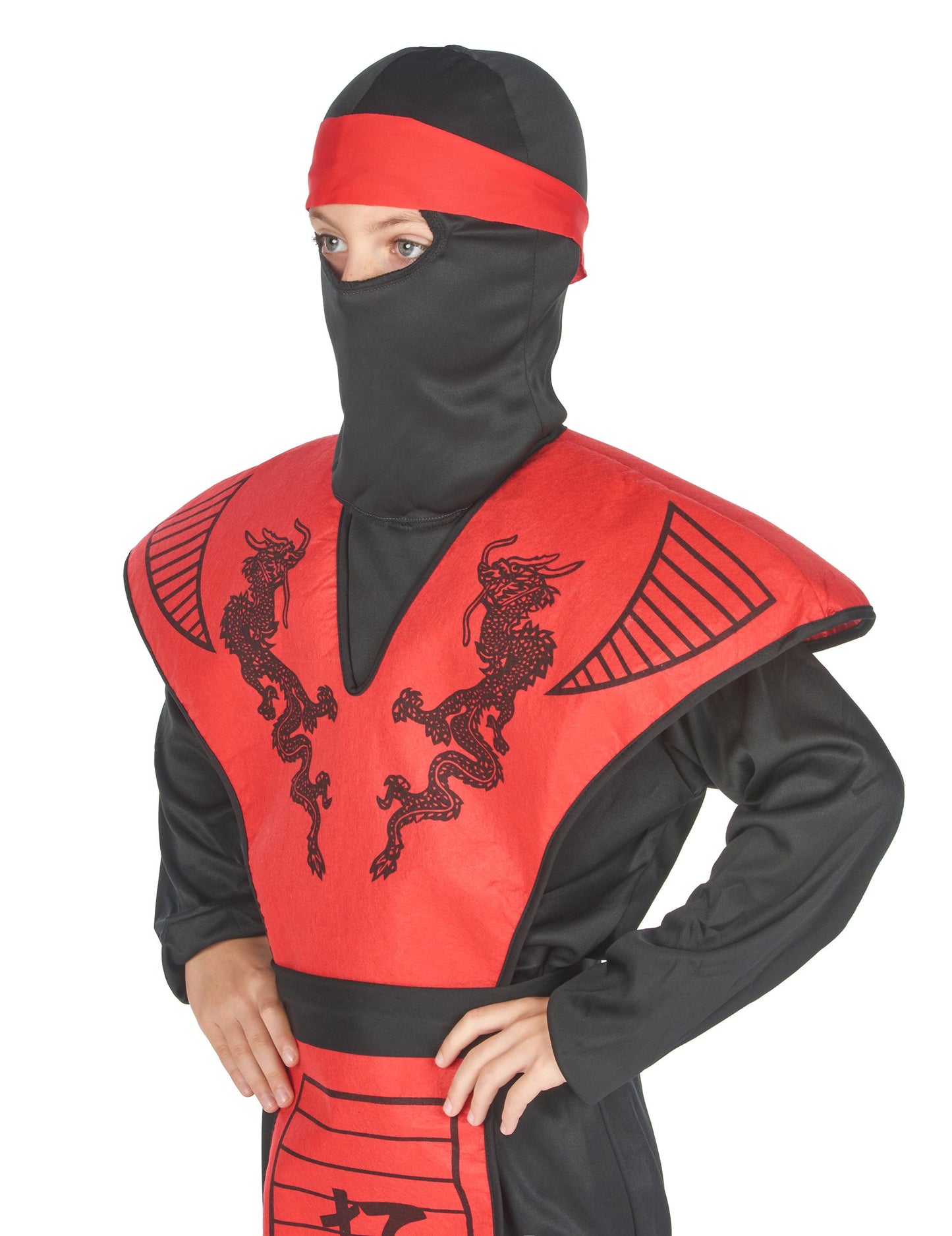 Costum de dragon ninja dragon