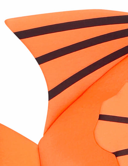 Deghizarea peștilor de clovni pentru copii