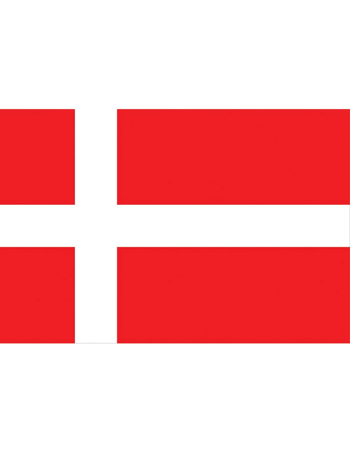 Drapeau supporter Danemark 90 x 150 cm