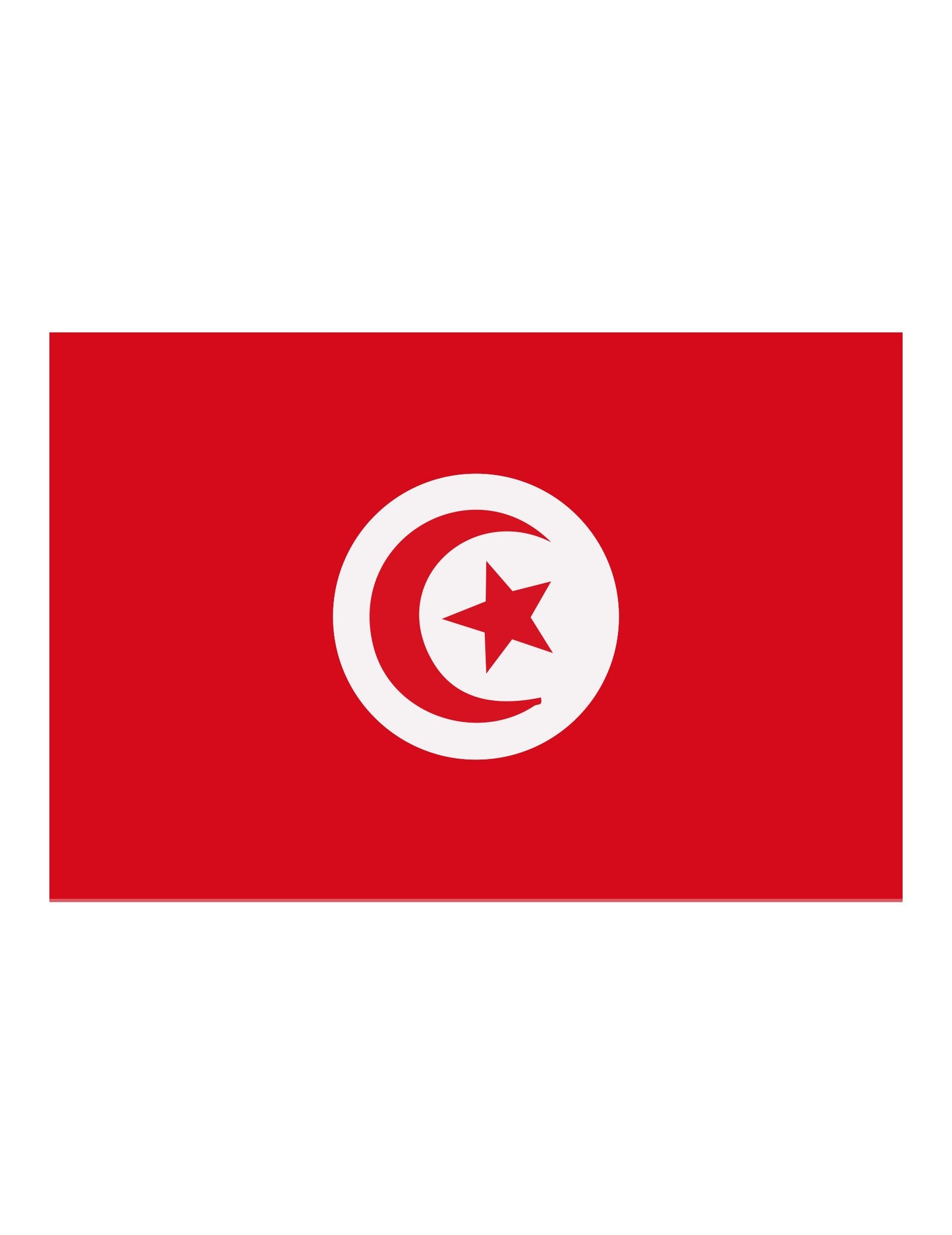 Steagul de asistență Türkiye 90 x 150 cm