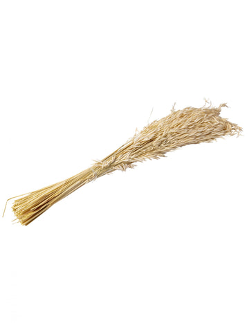 Ștulbe de ovăz uscate naturale 100g 73 cm atmosferă rurală