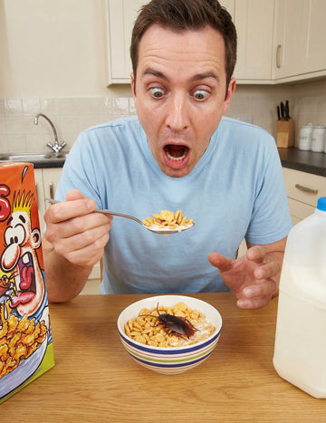 Gândac fals - farse și glume 