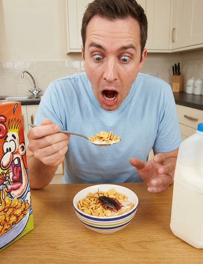 Faux cafard farces et attrapes pour adulte marron