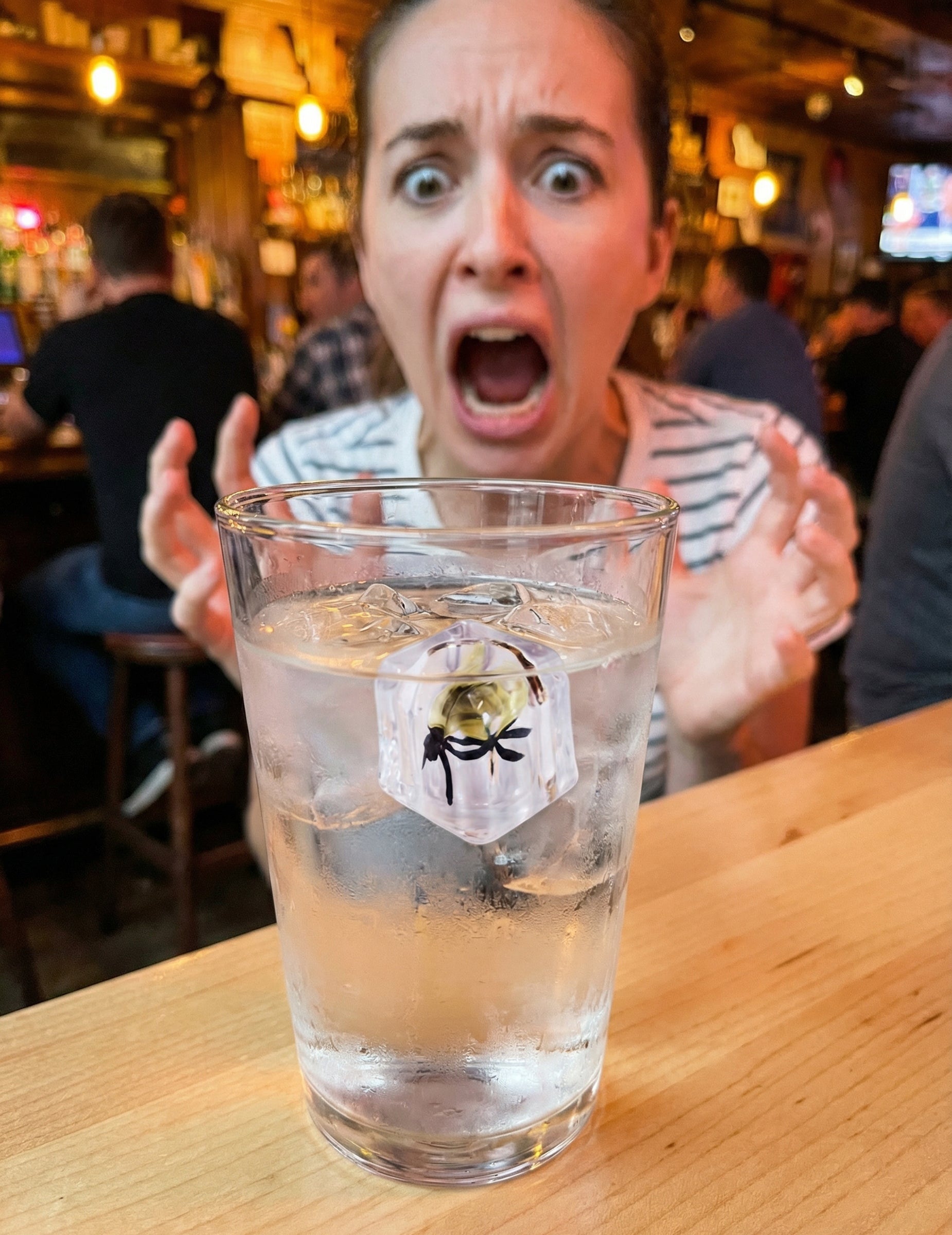 Faux glaçon avec mouche farces et attrapes pour adulte transparent et noir