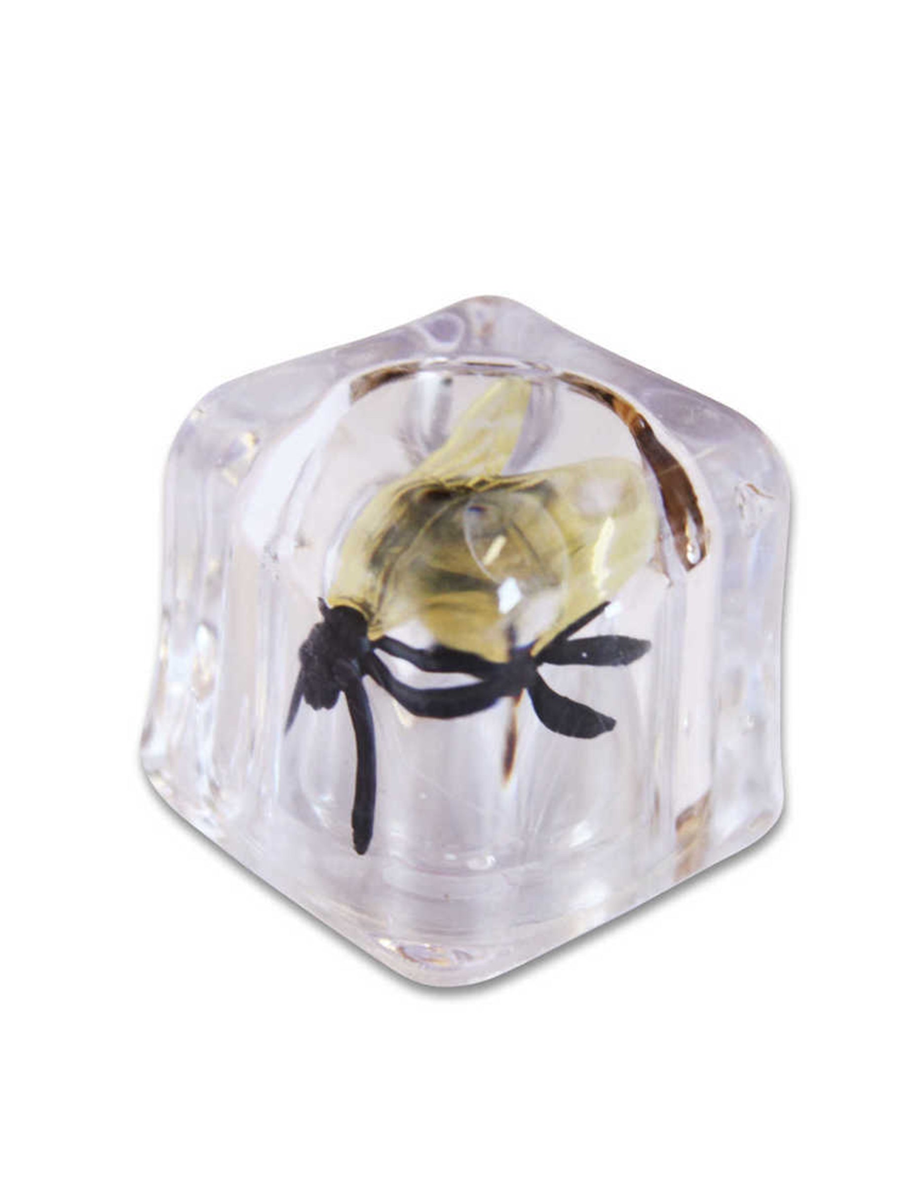 Vue de trois-quarts du faux glaçon avec mouche farces et attrapes