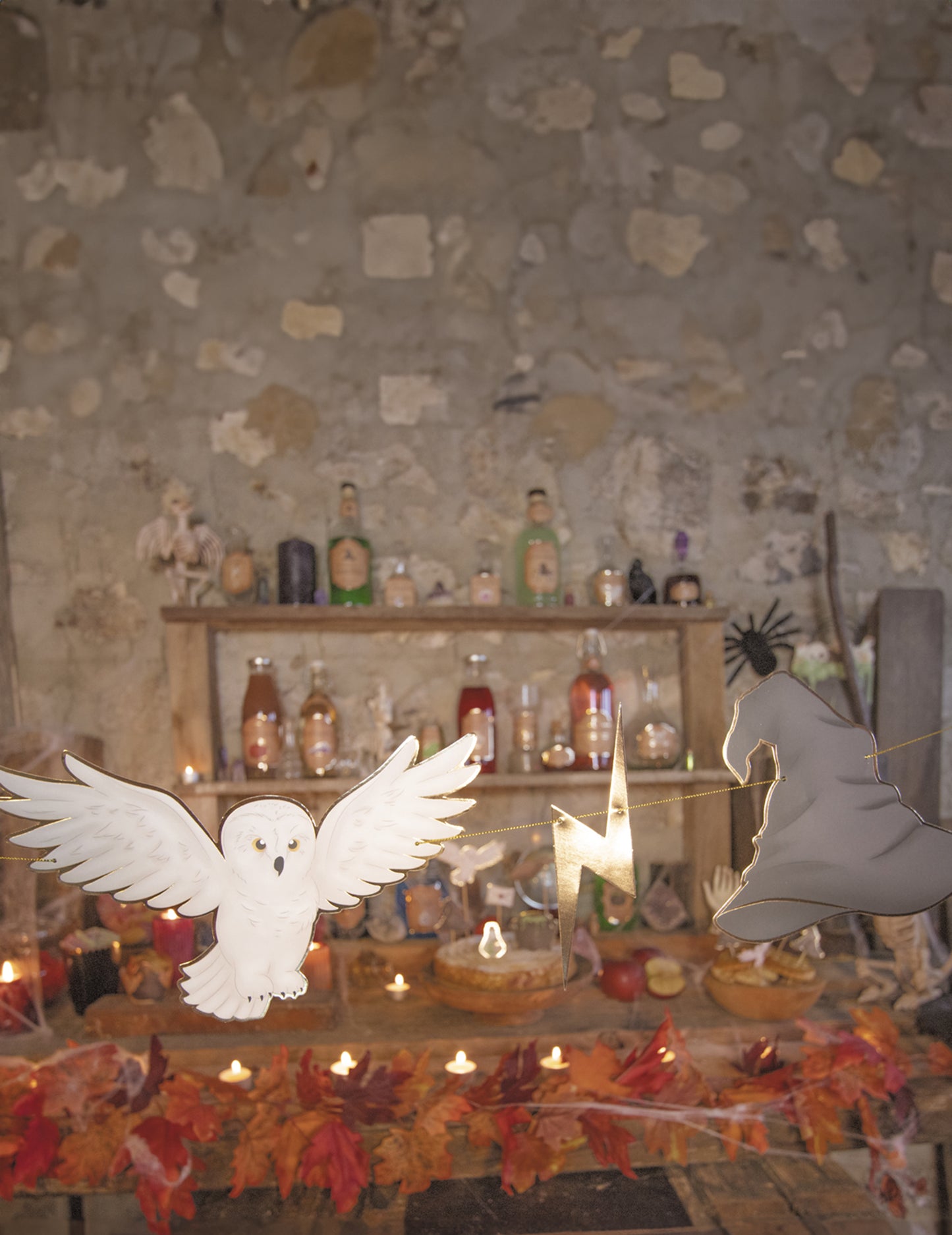 Cardboard Garland ucenic vrăjitor 3 m