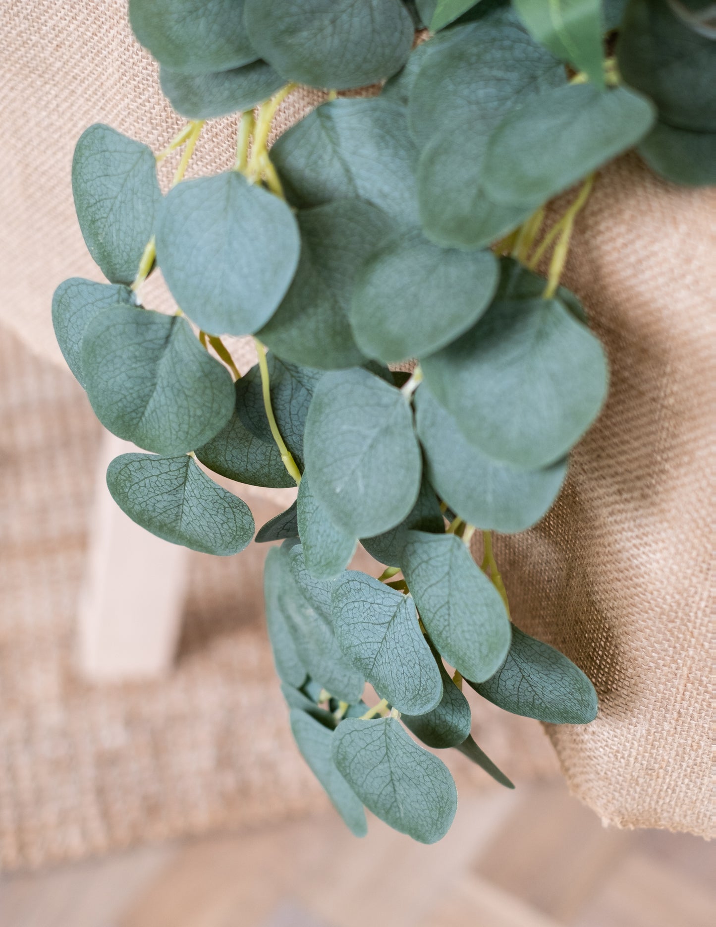 Ghirlandă de frunze de eucalipt 2m decorațiune vegetală