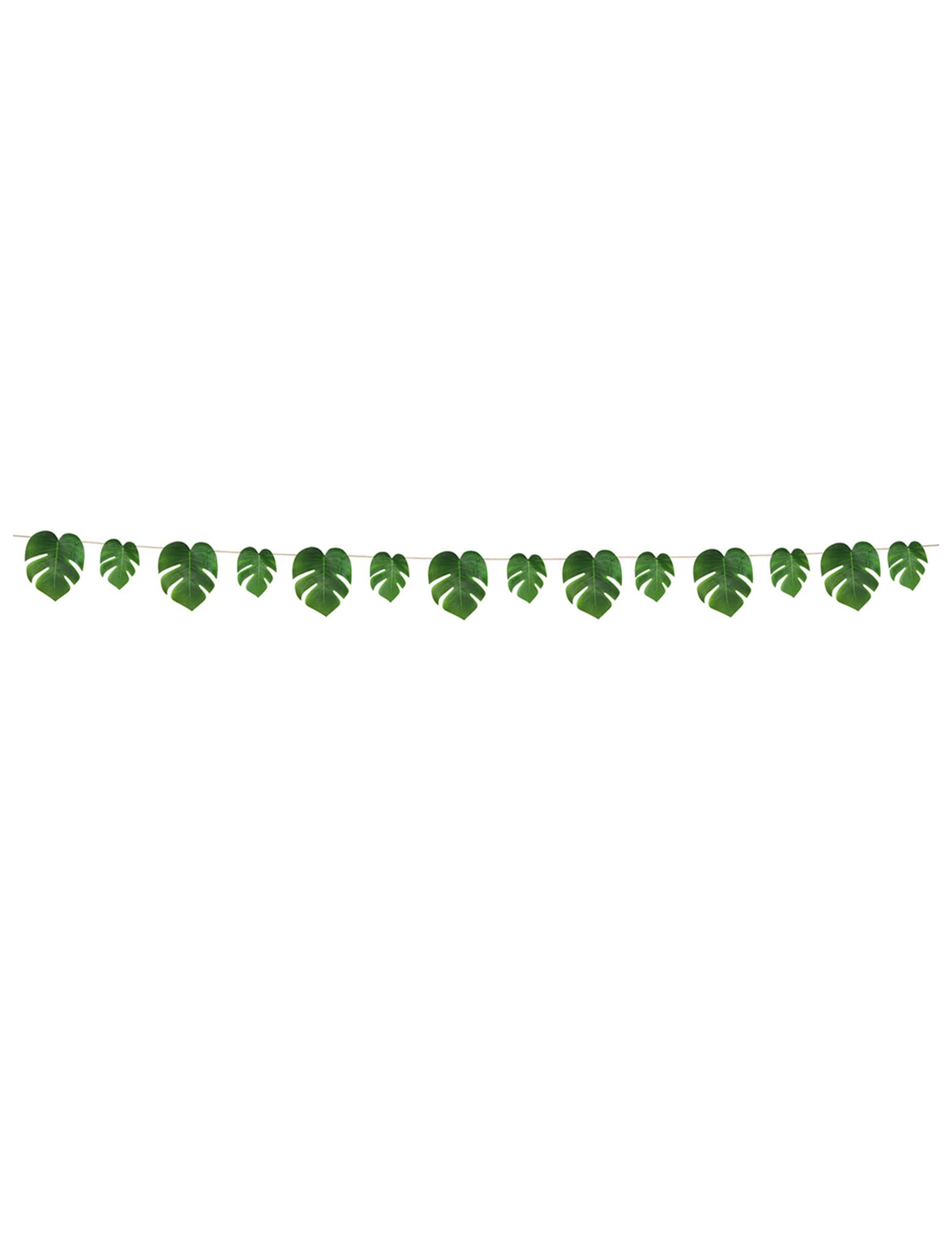 Vue d'ensemble de la guirlande feuilles tropicales monstera