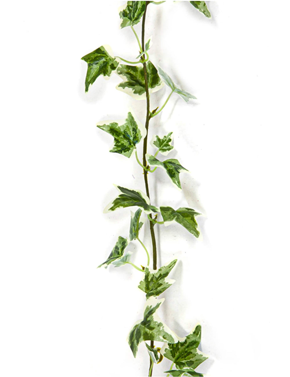 Ghirlandă de iederă artificială pentru decorațiuni, pestriță verde și albă
