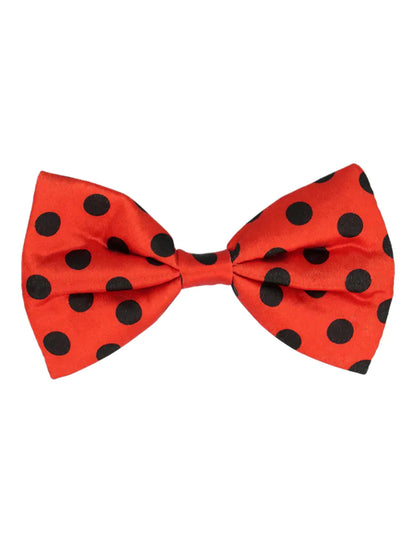 Kit accessoires coccinelle adulte