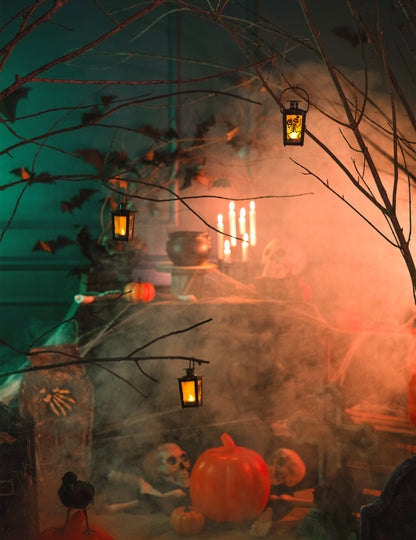 Lumină Lumină 15 x 8 cm