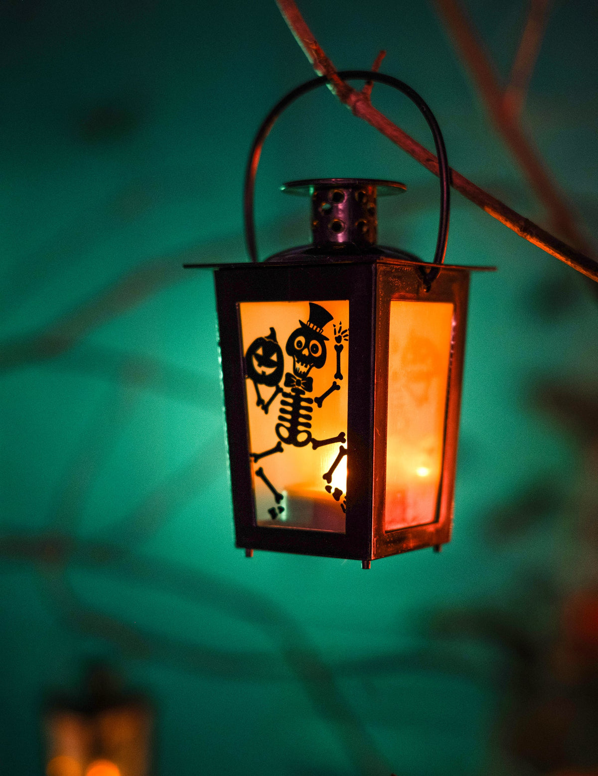 Vue de la lanterne allumée suspendue de la lanterne lumineuse Halloween avec squelette et citrouille