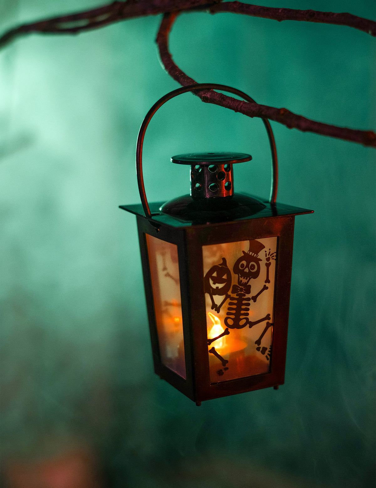 Gros plan sur la lanterne suspendue à une branche de la lanterne lumineuse Halloween avec squelette et citrouille