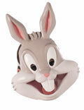 Costume Looney Tunes