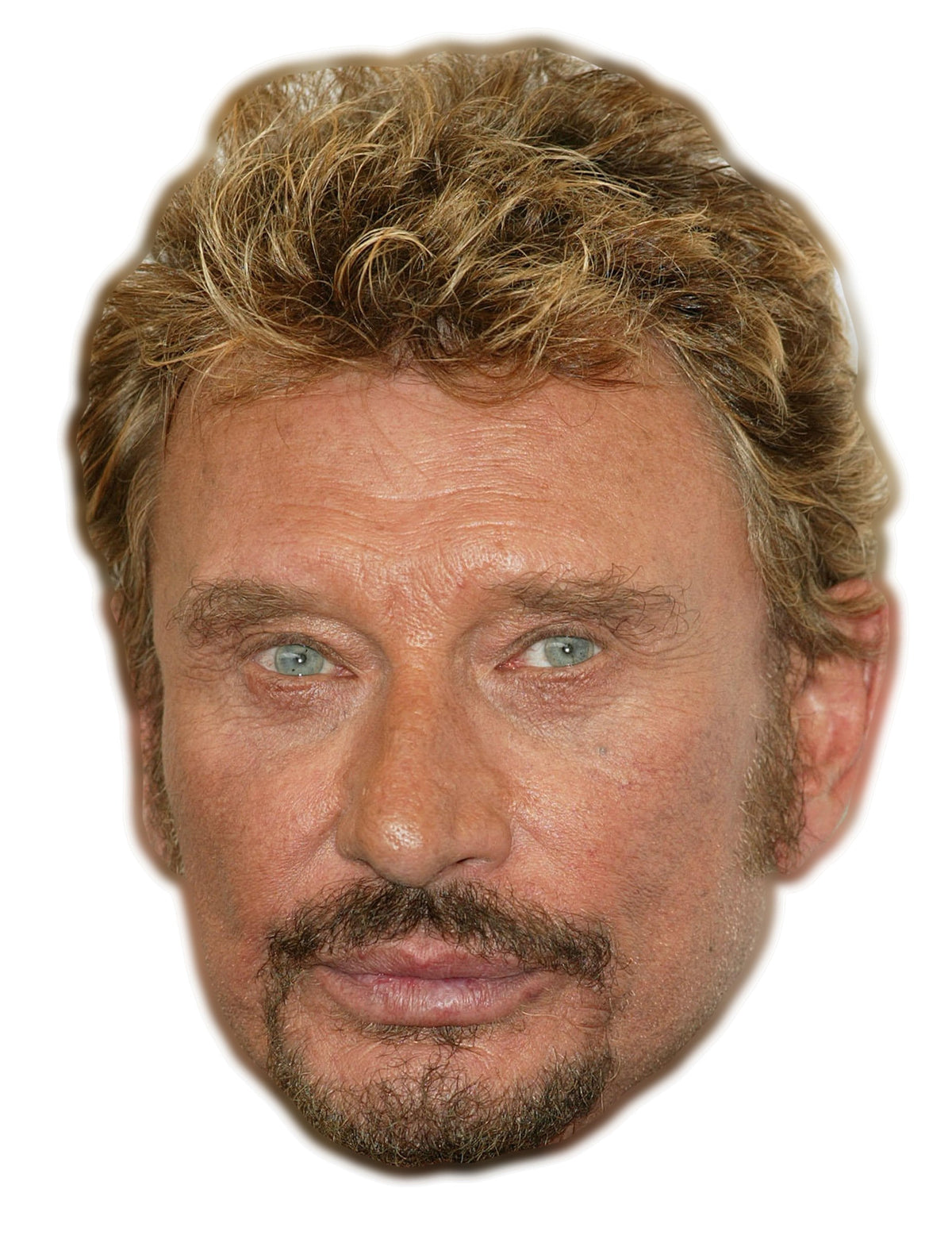 Masque en carton Johnny Halliday pour adulte réaliste