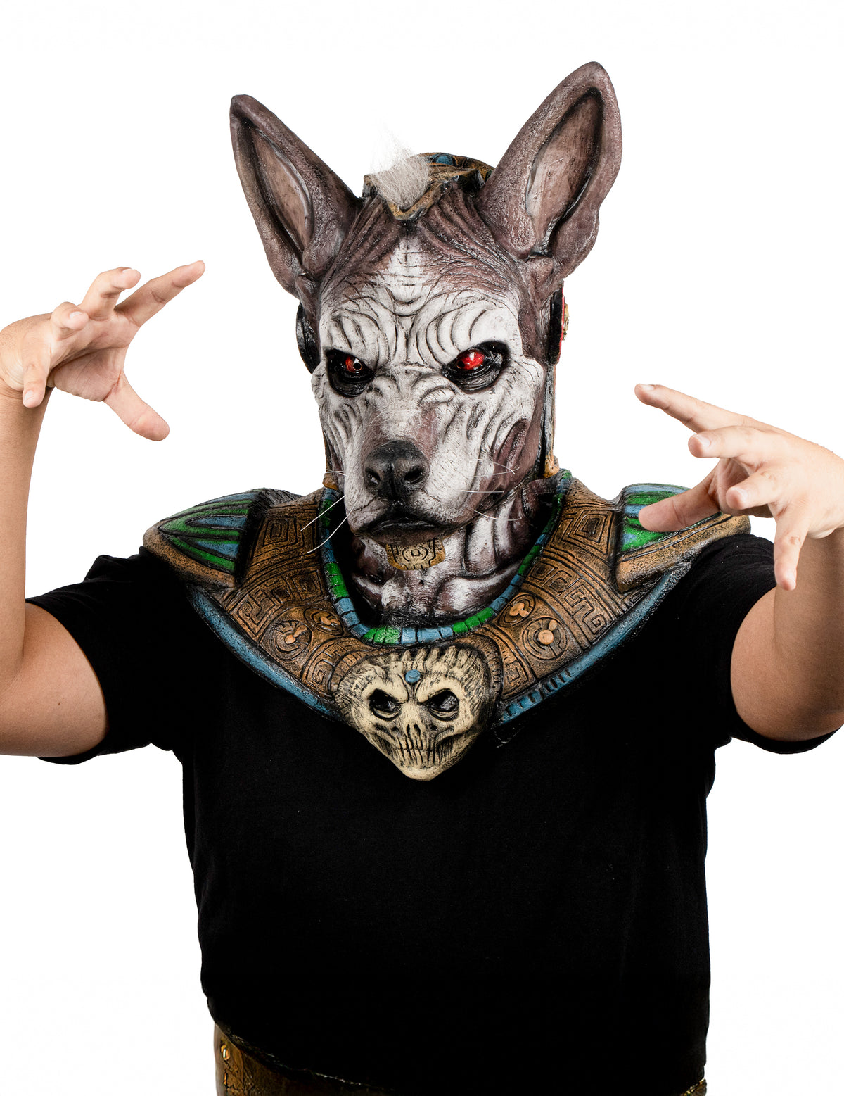 Vue de face avec plastron à tête de mort du masque intégral monstre à tête de chien pour adulte