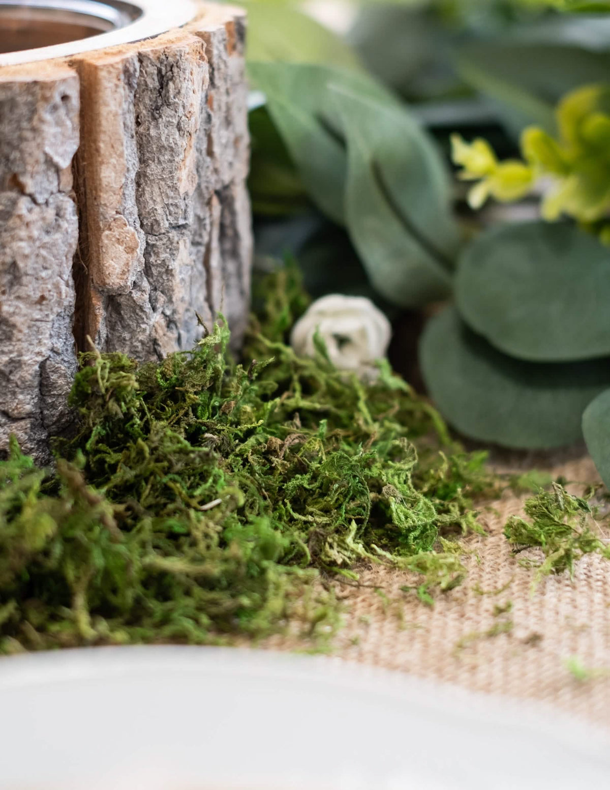 Detaliu cu scoarță de lemn din mușchi vegetal uscat, decorațiune naturală