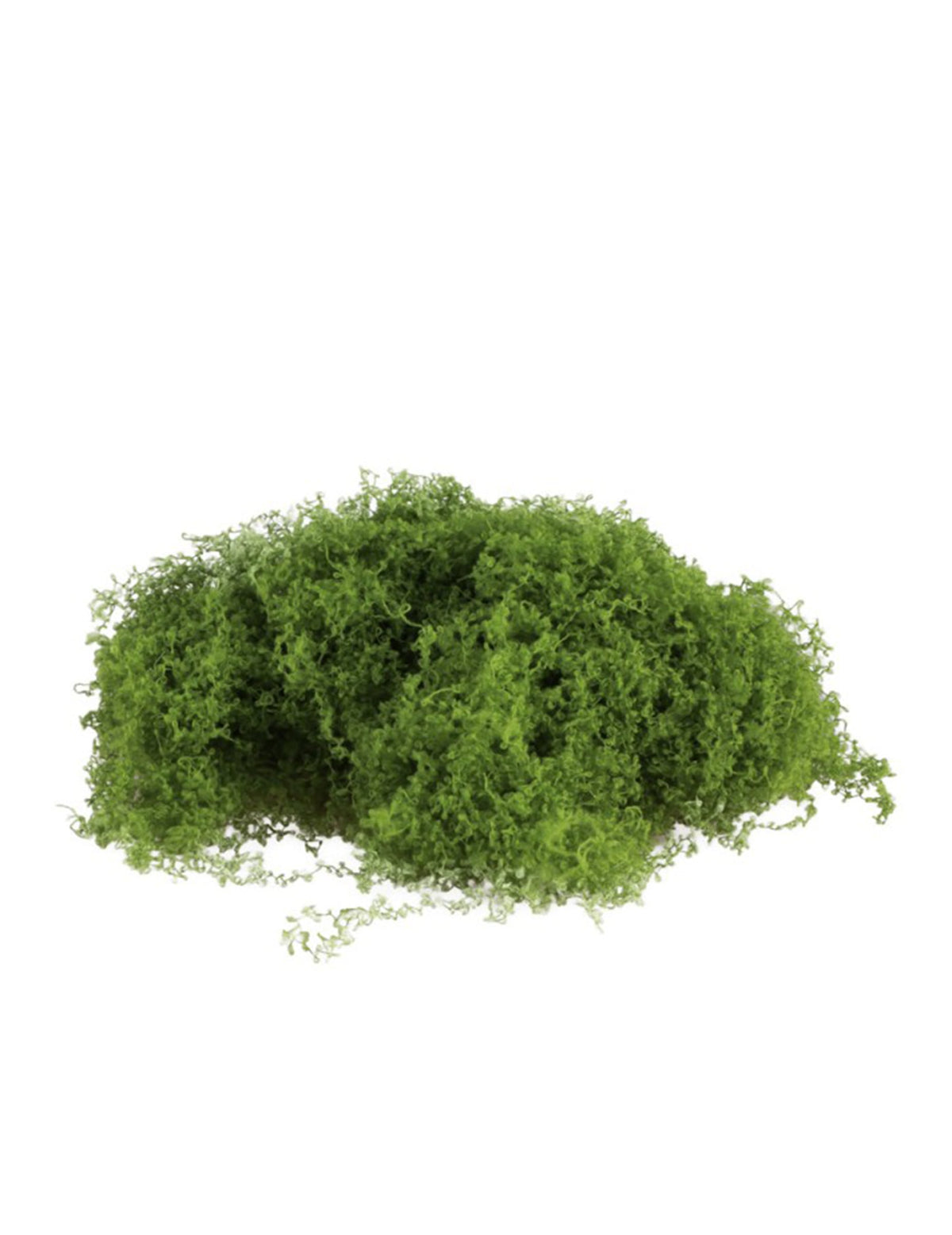 Mousse verte extensible pour décoration de fête