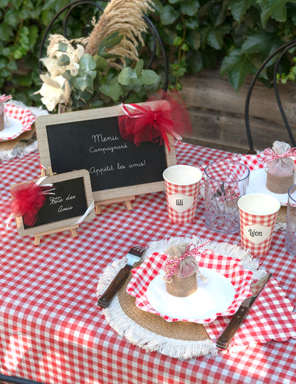 Nappe intissée vichy rouge 120 cm x 5 m