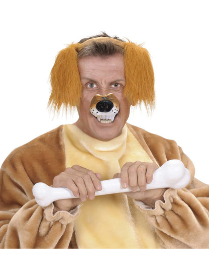 Nasul câinelui adult