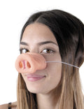 Animaux Accessoires