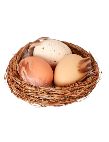 Cuib natural cu 3 ouă 12x4 cm