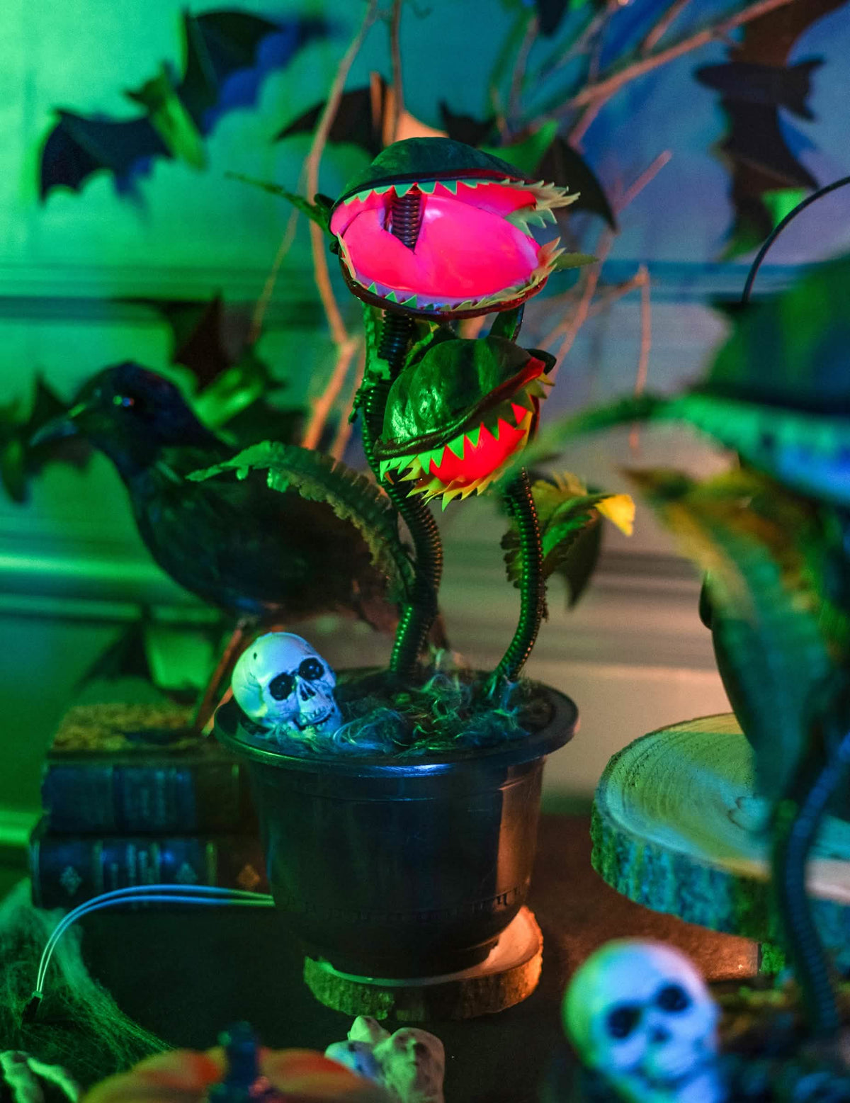 Prim-plan pe ghiveciul cu craniu al plantei carnivore animate decor de halloween