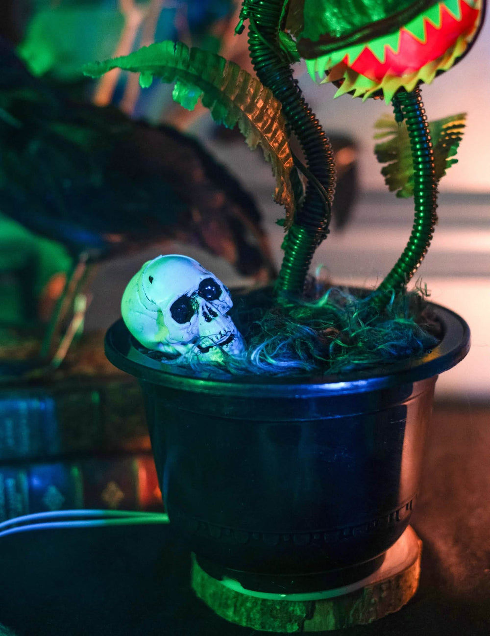 Detaliu cu craniu în ghiveciul plantei carnivore animate decor de halloween