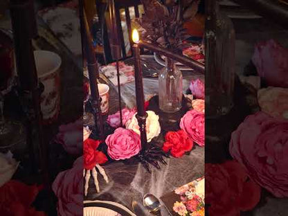 Canumicul de rășină schelet neagră 16 cm