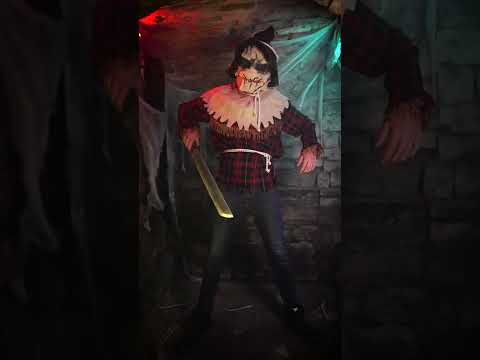 [ERREUR: {"error":{"code":400,"message":"Unsupported MIME type: text/html; charset=utf-8","status":"INVALID_ARGUMENT"}}]