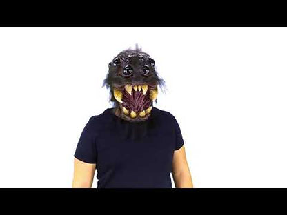 Masque tête d'araignée adulte