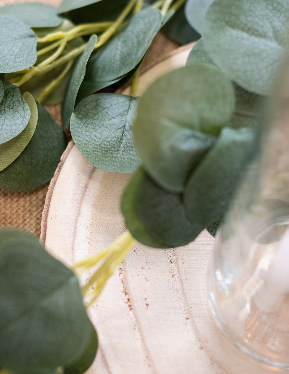 Gros plan sur le feuillage d'eucalyptus du rondin de bois naturel pour décoration