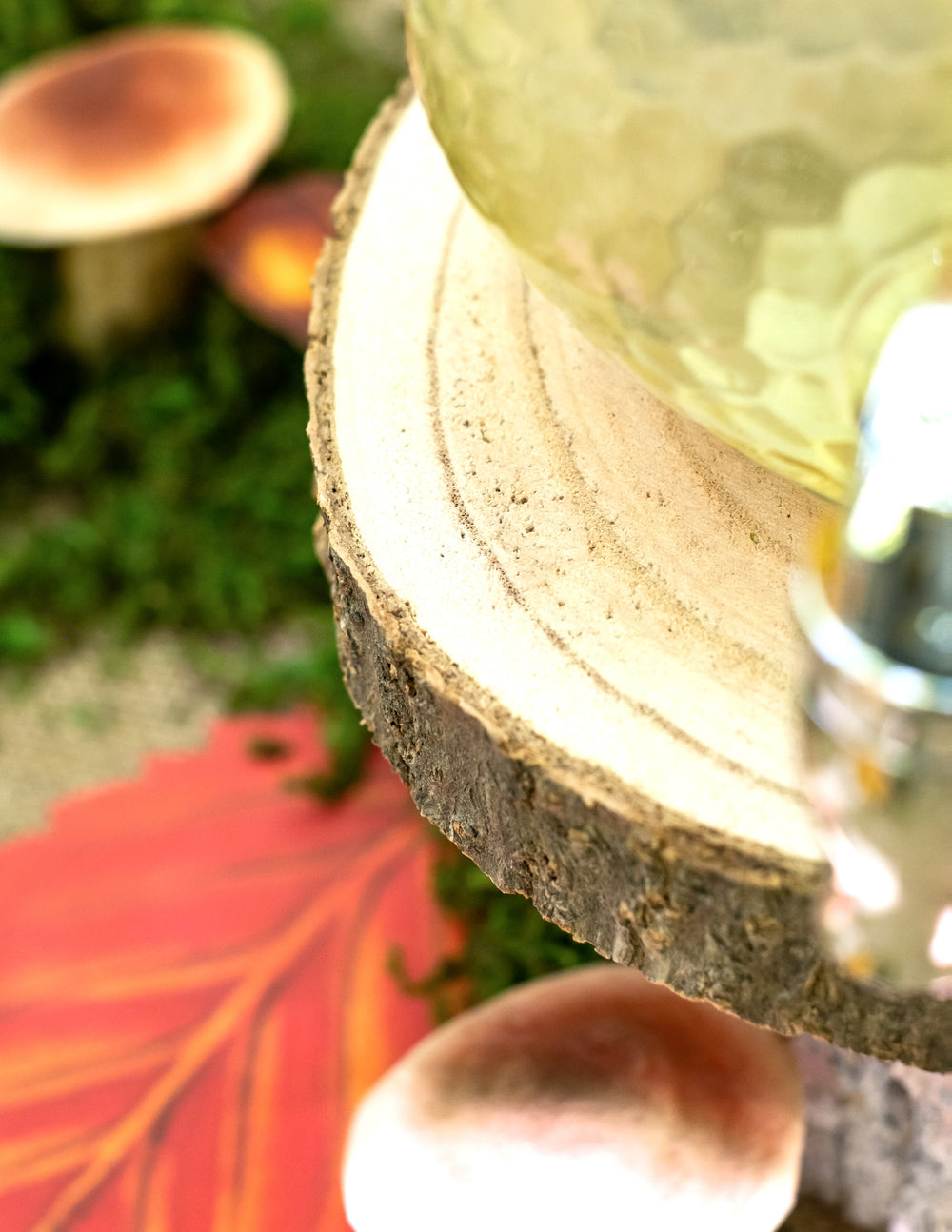 Gros plan sur les cernes et l'écorce du rondin de bois naturel pour décoration