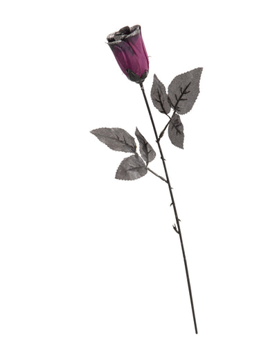 Rose noire et violette pour adulte pailletée