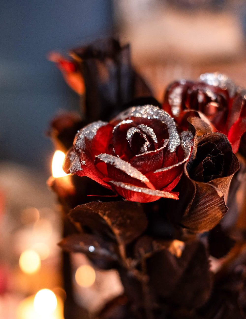 Cadru apropiat pe petalele cu paiete ale trandafirului halloween roșu și negru