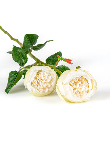 Trandafiri albi artificiali pe tulpină 46 cm într-un set de 2