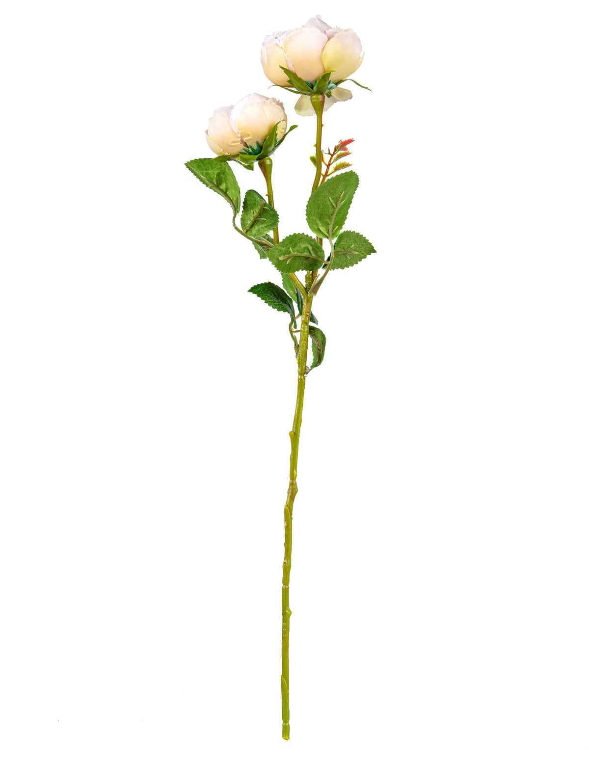 Vue d'ensemble des roses artificielles sur tige pour décoration