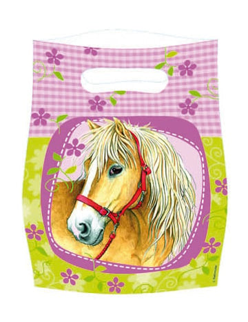 Pungi de petrecere cu cai 