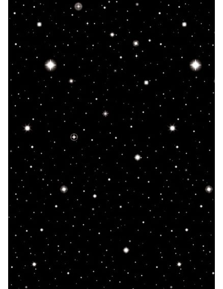 Décoration murale nuit étoilée pour fête noire avec étoiles blanches