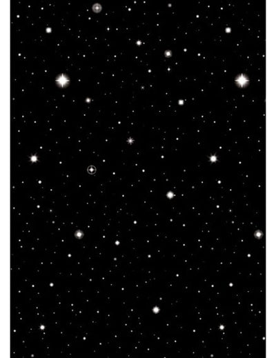 Décoration murale nuit étoilée pour fête noire avec étoiles blanches