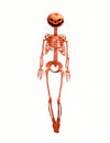 Squelette articulé Summerween à tête de citrouille orange 1 m