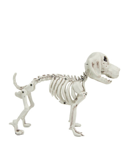 Schelet de câine 26 cm