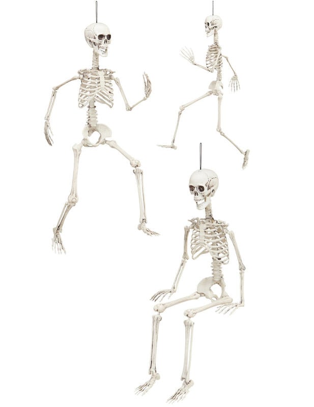 Différentes poses et articulations du squelette articulé Halloween